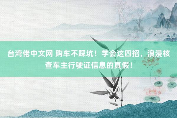 台湾佬中文网 购车不踩坑！学会这四招，浪漫核查车主行驶证信息的真假！