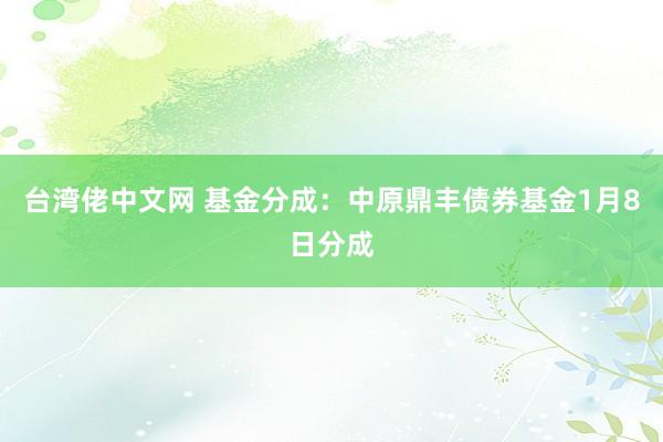 台湾佬中文网 基金分成：中原鼎丰债券基金1月8日分成