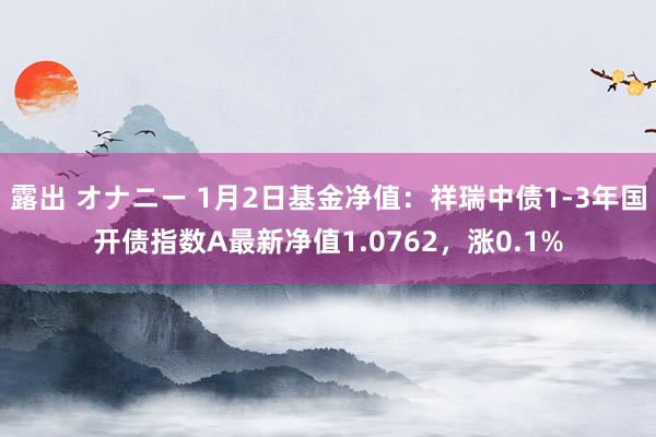 露出 オナニー 1月2日基金净值：祥瑞中债1-3年国开债指数A最新净值1.0762，涨0.1%