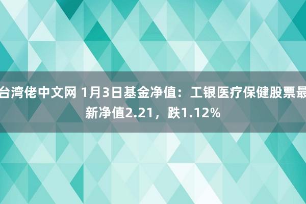 台湾佬中文网 1月3日基金净值：工银医疗保健股票最新净值2.21，跌1.12%