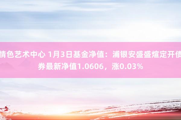 情色艺术中心 1月3日基金净值：浦银安盛盛煊定开债券最新净值1.0606，涨0.03%