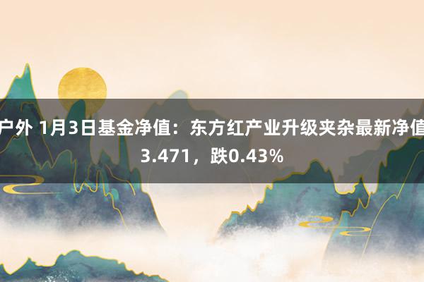 户外 1月3日基金净值：东方红产业升级夹杂最新净值3.471，跌0.43%