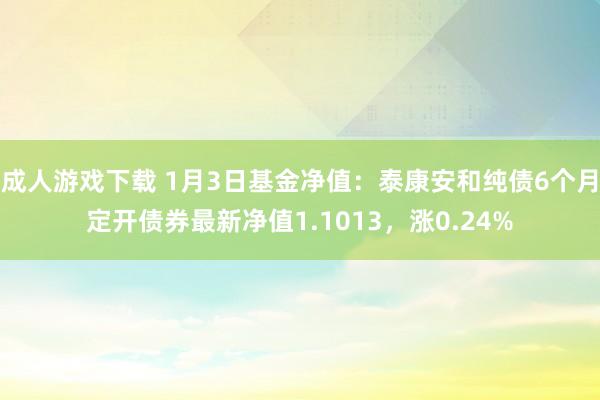 成人游戏下载 1月3日基金净值：泰康安和纯债6个月定开债券最新净值1.1013，涨0.24%