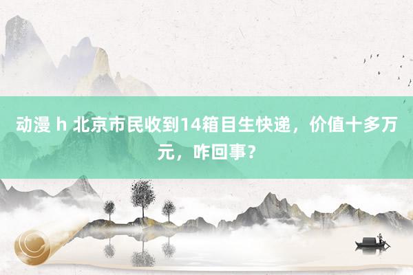 动漫 h 北京市民收到14箱目生快递，价值十多万元，咋回事？