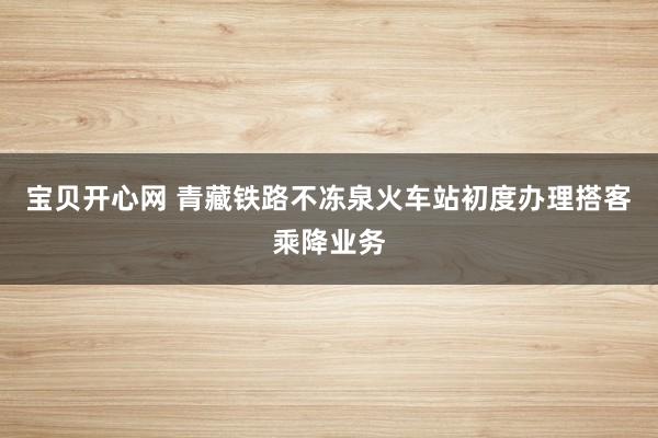 宝贝开心网 青藏铁路不冻泉火车站初度办理搭客乘降业务