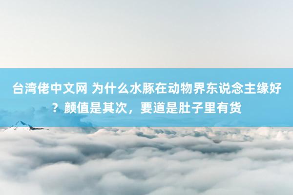 台湾佬中文网 为什么水豚在动物界东说念主缘好？颜值是其次，要道是肚子里有货