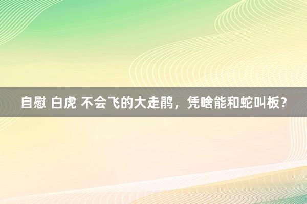 自慰 白虎 不会飞的大走鹃，凭啥能和蛇叫板？