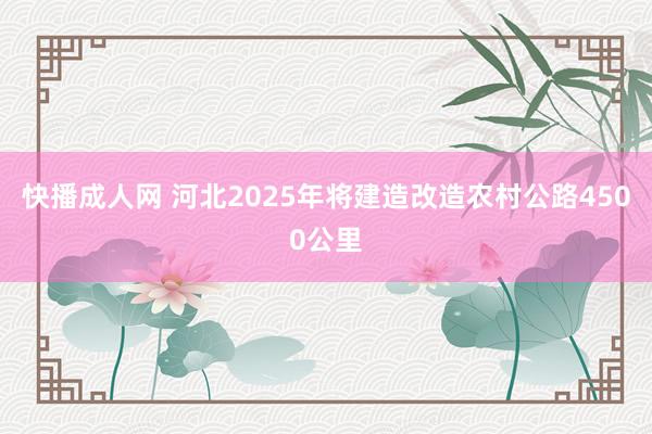 快播成人网 河北2025年将建造改造农村公路4500公里