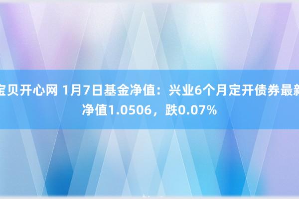 宝贝开心网 1月7日基金净值：兴业6个月定开债券最新净值1.0506，跌0.07%