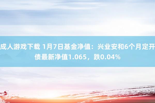 成人游戏下载 1月7日基金净值：兴业安和6个月定开债最新净值1.065，跌0.04%